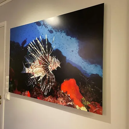 And Comfortable Apartmán Asker