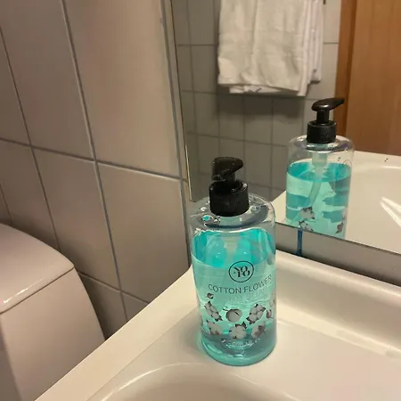 And Comfortable アパート *