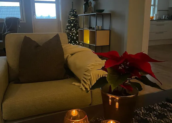 And Comfortable 阿斯克尔