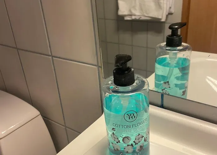 And Comfortable 公寓 *